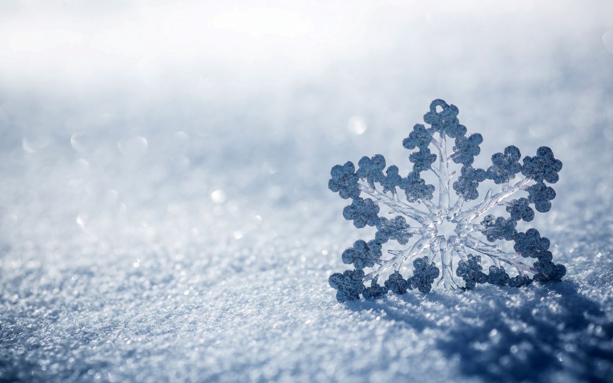 Обои Снежинка, снег, зима, облако, замораживание в разрешении 2560x1600