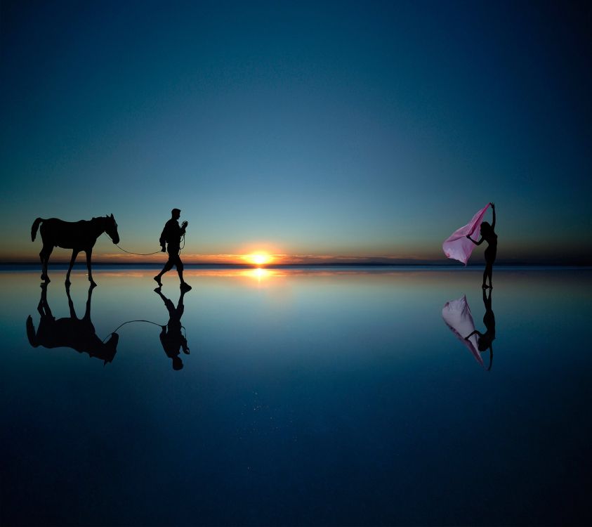 Обои ZTE, ZTE Axon M, вода, конь, отражение в разрешении 2160x1920