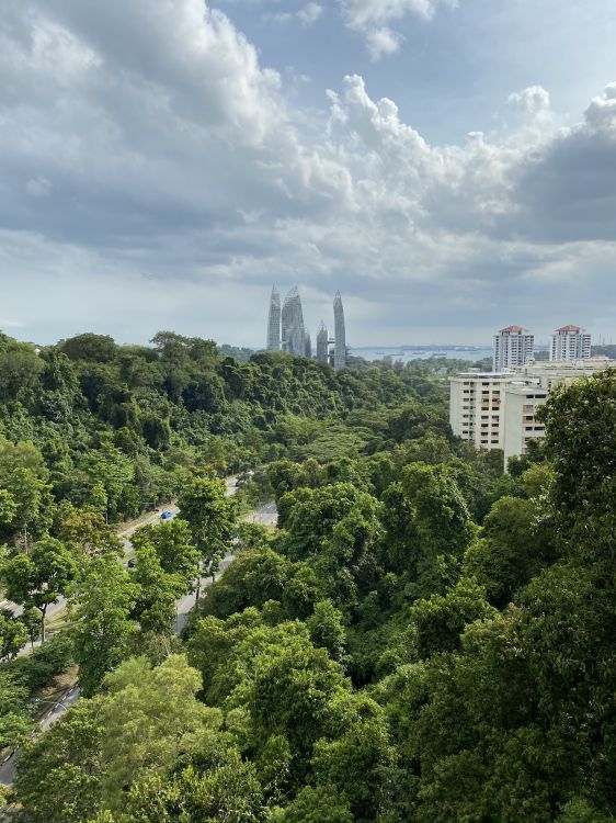 Обои растительность, карта маршрута, природа, дневное время, облако в разрешении 1536x2048