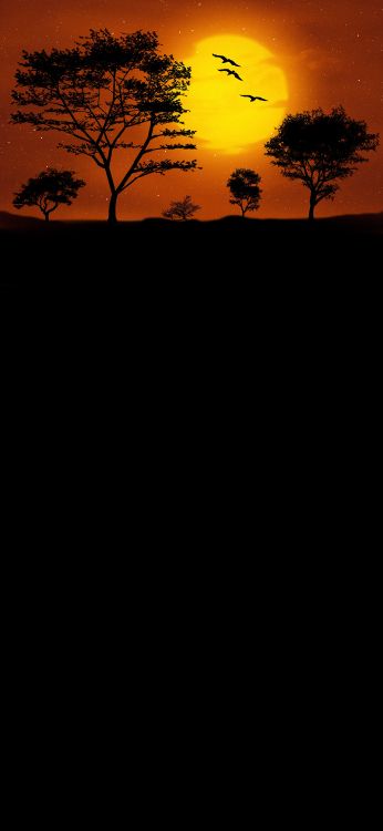 Обои постер, силуэт, иллюстрация, живопись, арт в разрешении 1080x2340