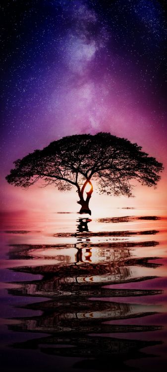 Обои обои хуавей, Хуавей Р20 Про, Хуавей Р20 лайт, Huawei, смартфон в разрешении 1080x2400