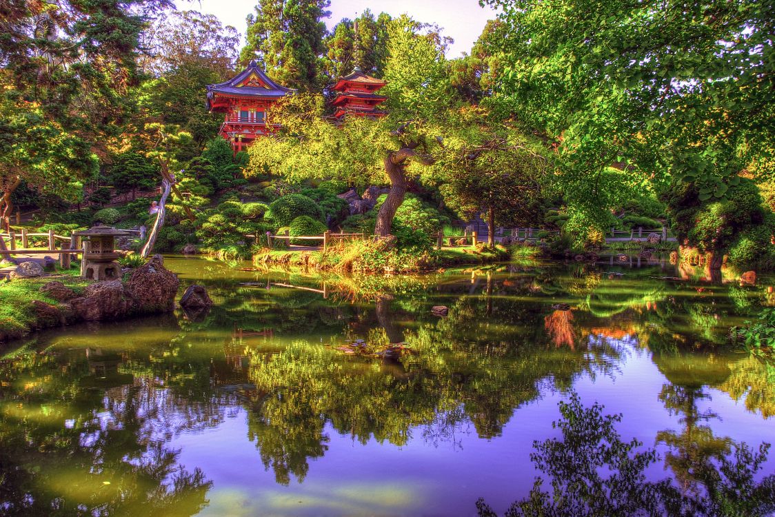 Обои японский сад, сад, отражение, природа, вода в разрешении 3000x2001