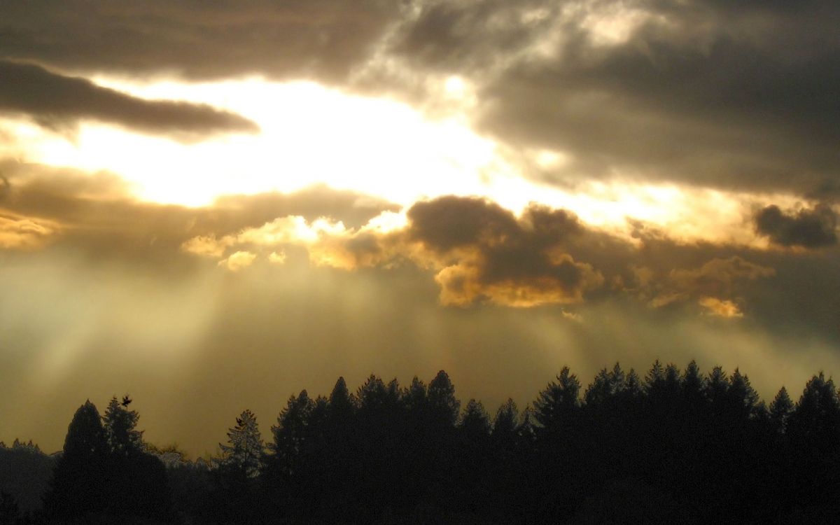 Обои облако, солнечный свет, свет, утро, ночное небо в разрешении 1920x1200