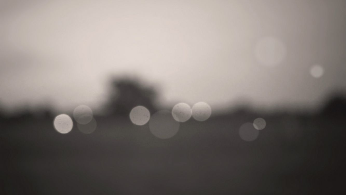 Обои дневное время, монохромный, туман, день, атмосфера в разрешении 3840x2160