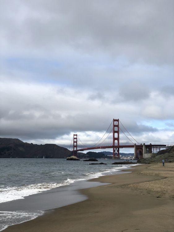 Обои Сан Франциско, море, побережье, вода, физика в разрешении 1536x2048