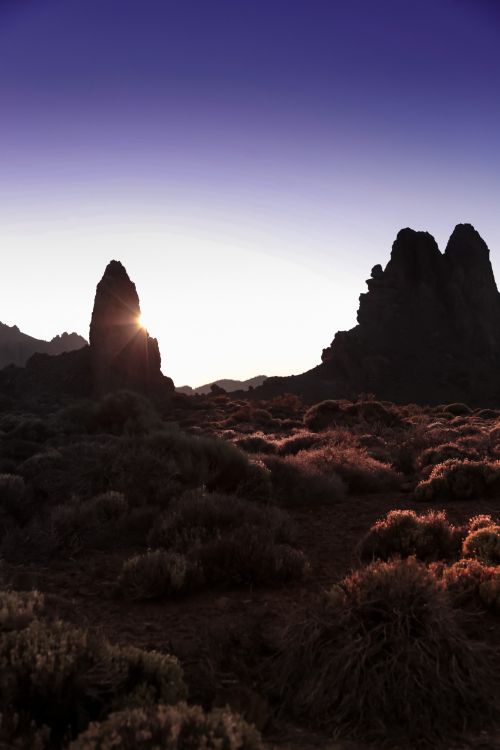 Обои бесплодные земли, любовь в свете, исследуя национальные парки америки, пространство мечты, растение в разрешении 3648x5472