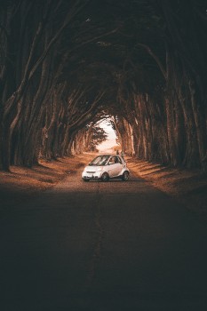 Автомобиль дорога инфраструктура Автомобиль дорога инфраструктура