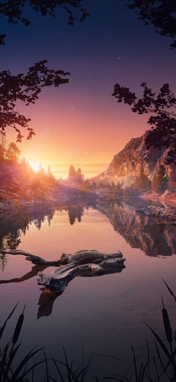 Обои свет, вода, облако, растение, гидроресурсы в разрешении 1407x3045