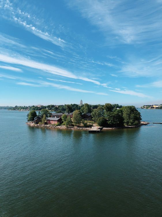 Обои водоем, природа, растительность, побережье, отражение в разрешении 3024x4032