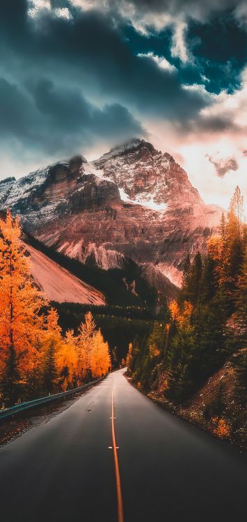 Обои гора, облако, растение, атмосфера, мир в разрешении 1422x3000