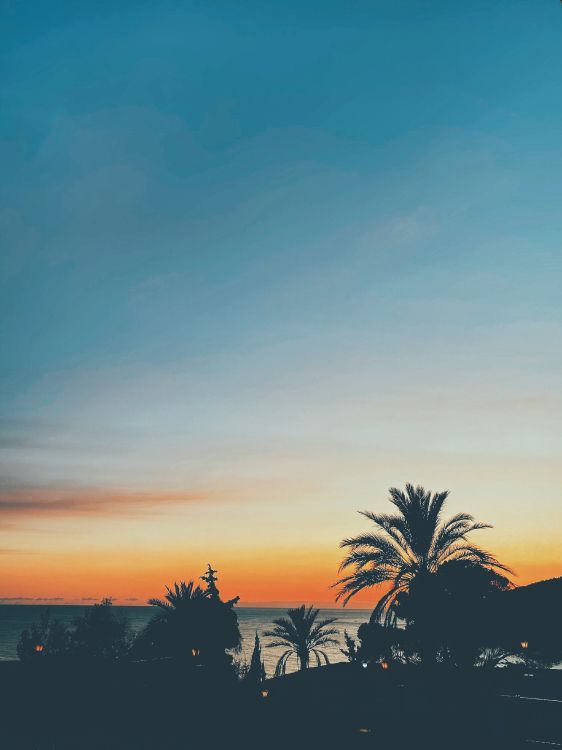 Обои лист, горизонт, Апельсин, сумрак, Янтарь в разрешении 3024x4032