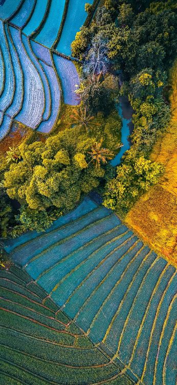 Обои asus, Asus ZenFone, Asus ZenFone 6, rog phone ii, asus zenfone max pro в разрешении 1080x2340