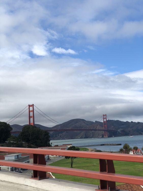 Обои вантовый мост, extradosed мост, подвесной мост, мост, облако в разрешении 1536x2048