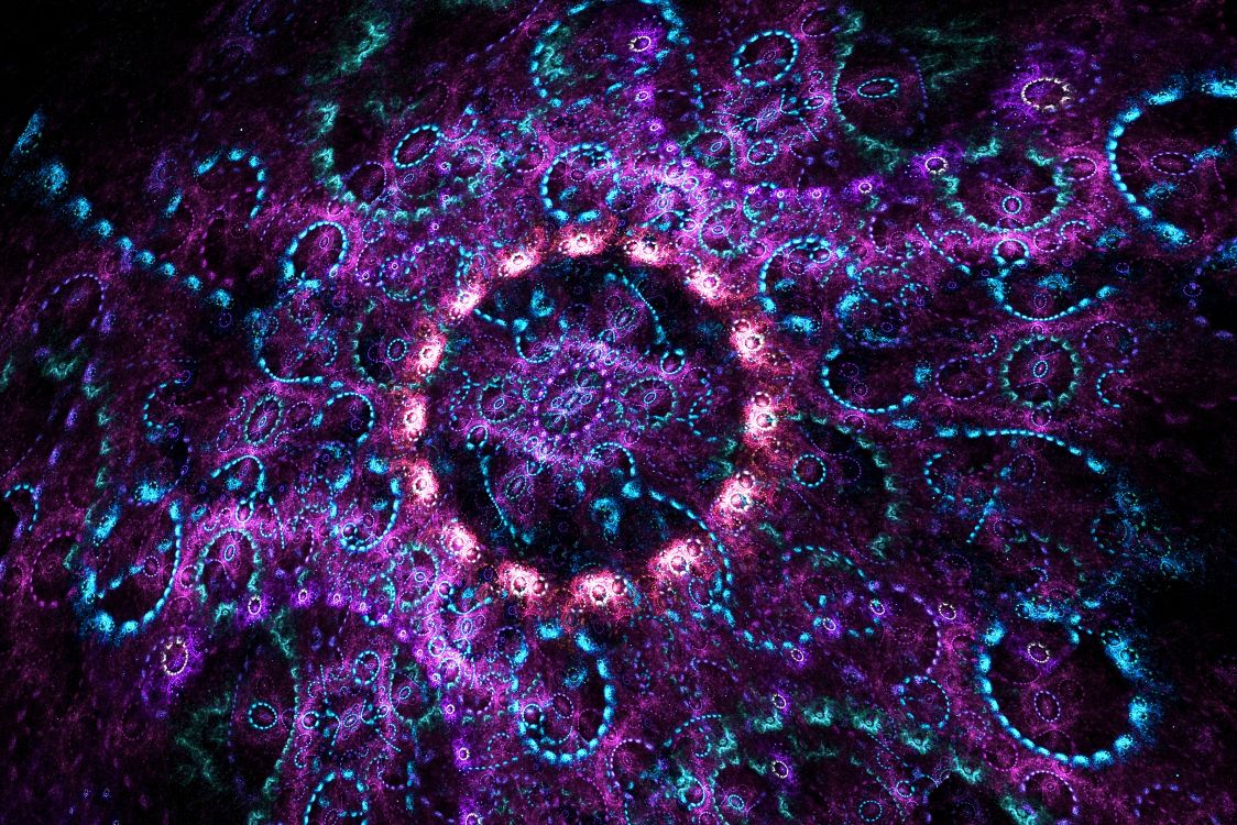 Обои вода, риф, психоделическое искусство, спецэффекты, морская биология в разрешении 3200x2134