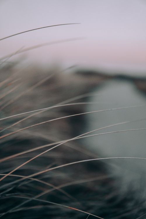 Обои черный и белый, небо, крупный план, атмосфера, макро в разрешении 4000x6000