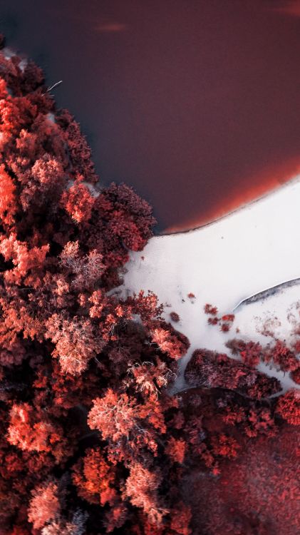 Обои soundcloud, Оранжевый цвет, прут, природный ландшафт, красный цвет в разрешении 2048x3641