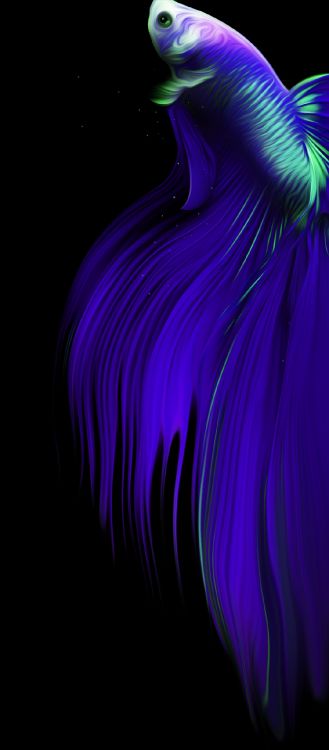 Обои Инфиникс ноль х про, инфиникс, Tecno, смартфон, инфиникс ноль х нео в разрешении 1080x2460