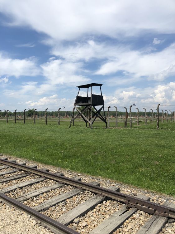 Обои трек, железнодорожный транспорт, железнодорожный вагон, дневное время, древесина в разрешении 1536x2048