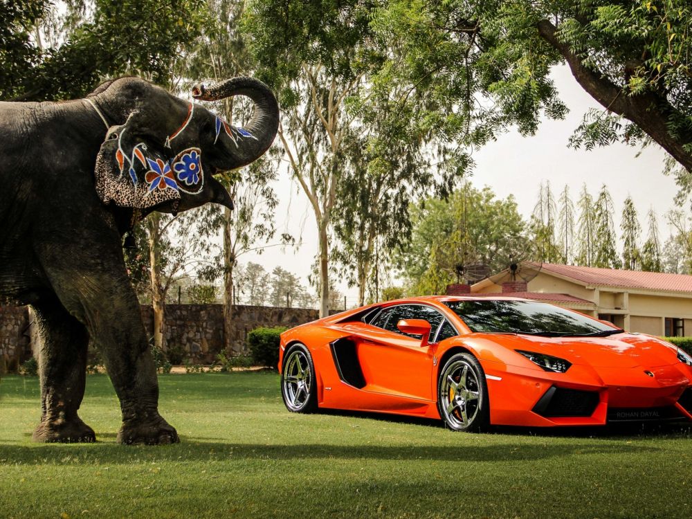 Обои Ламборджини, спорткар, Ламборгини авентадор, суперкар, Ламборджини Авентадор в разрешении 2048x1536