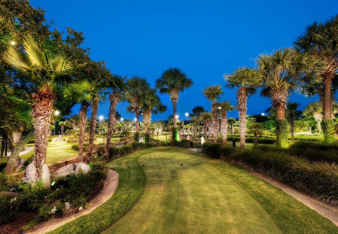 Обои природа, дерево, Пальма, имущество, завод в разрешении 2560x1775