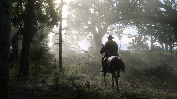 iphone xs max red dead redemption 2 image