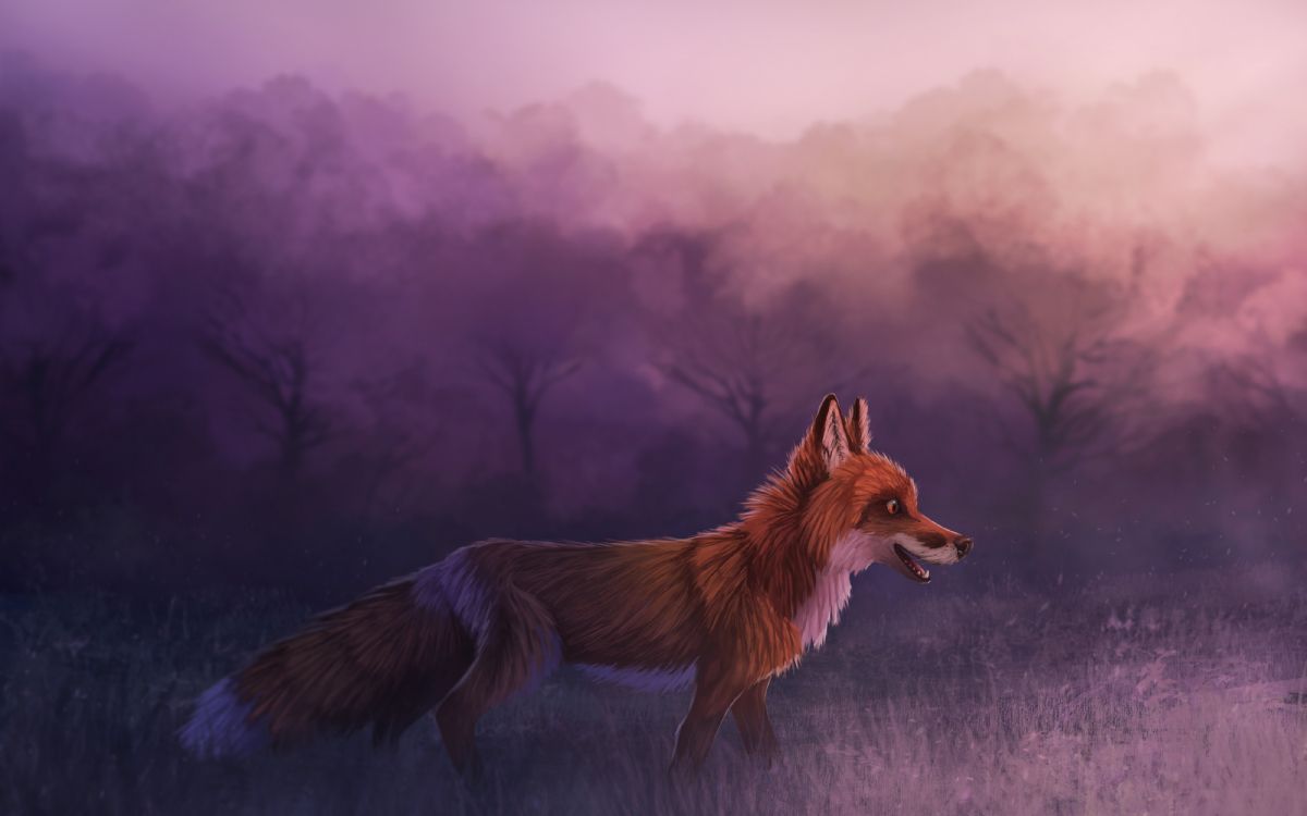 Обои лиса, красный волк, рыжая лисица, Псовые, живая природа в разрешении 4000x2500