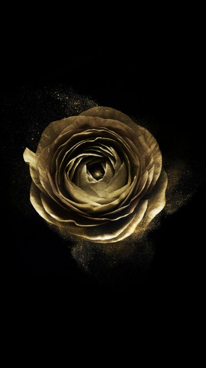 Обои  Infinix Note 4, постер, жидкий, темнота, цветковое растение в разрешении 1080x1920