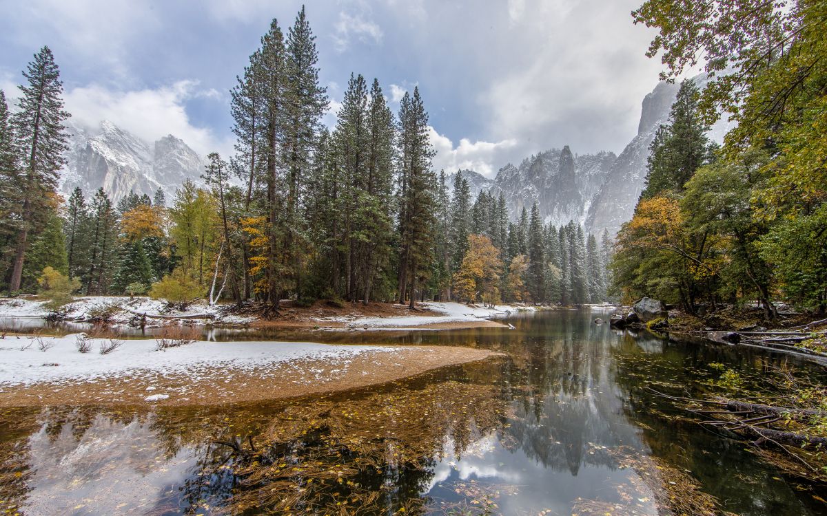 Обои природа, отражение, дерево, вода, дикая местность в разрешении 2560x1600