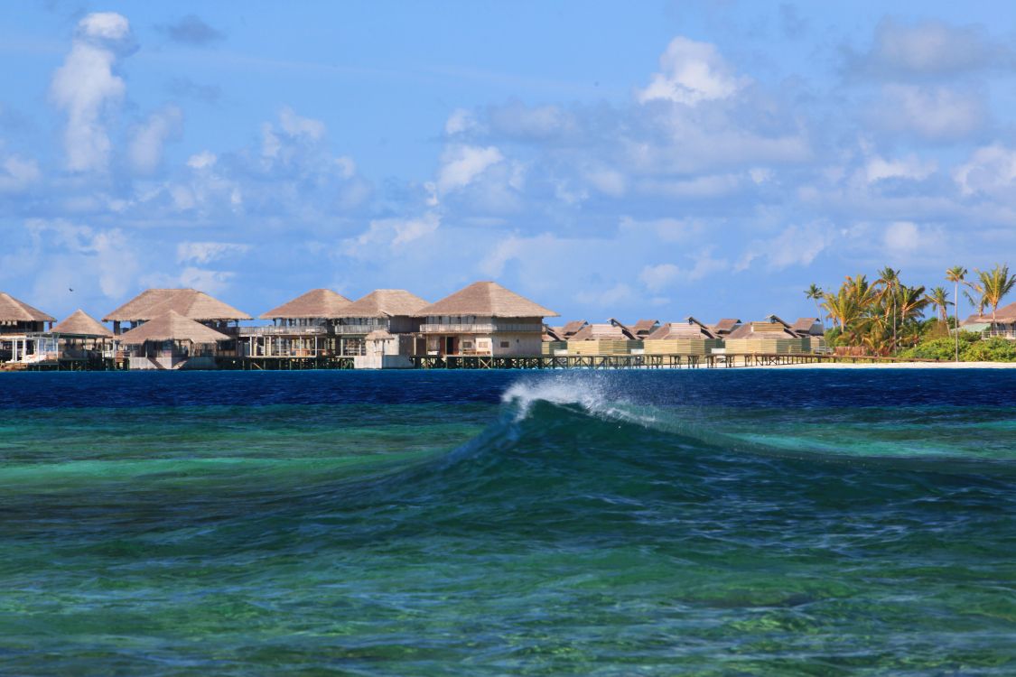 Обои Шесть Чувств Лааму, прибежище, море, пляж, океан в разрешении 5616x3744