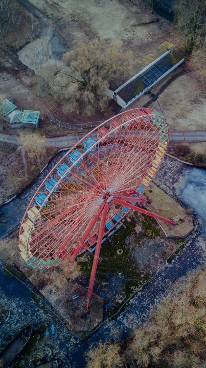 Обои Берлин, арт, вода, растение, пейзаж в разрешении 1080x1920