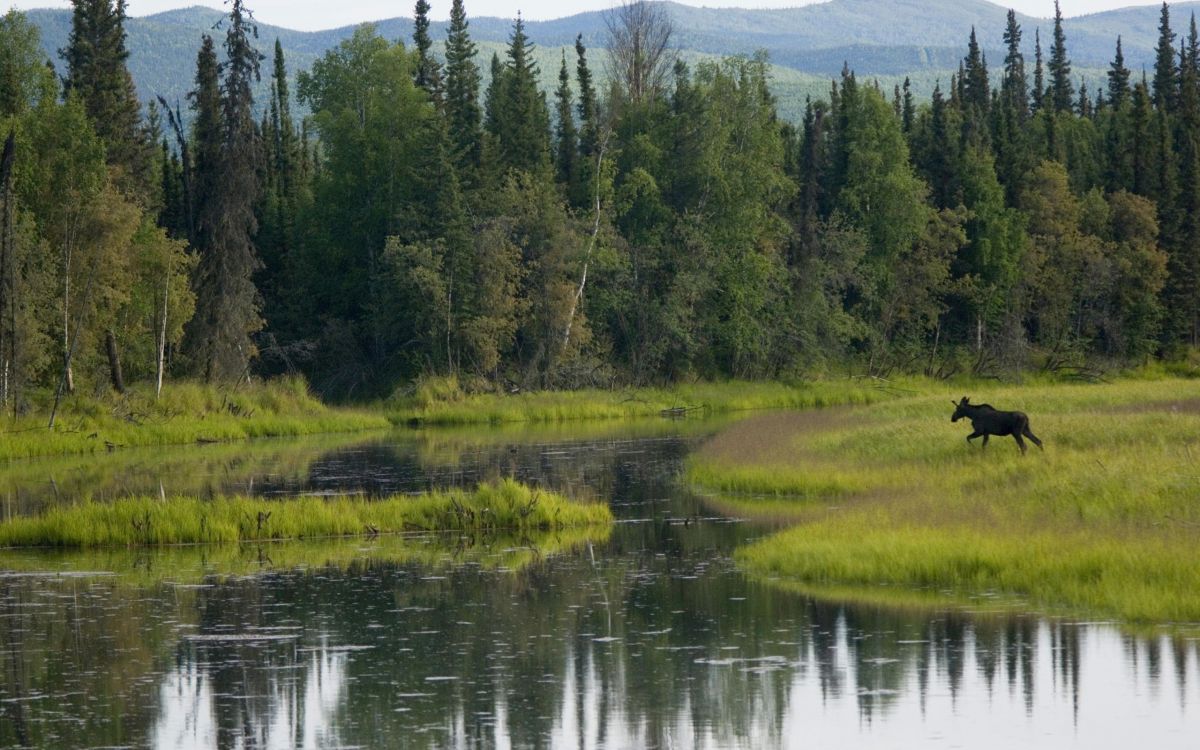 Обои природа, дикая местность, отражение, природный заповедник, сенокосное угодье в разрешении 2560x1600