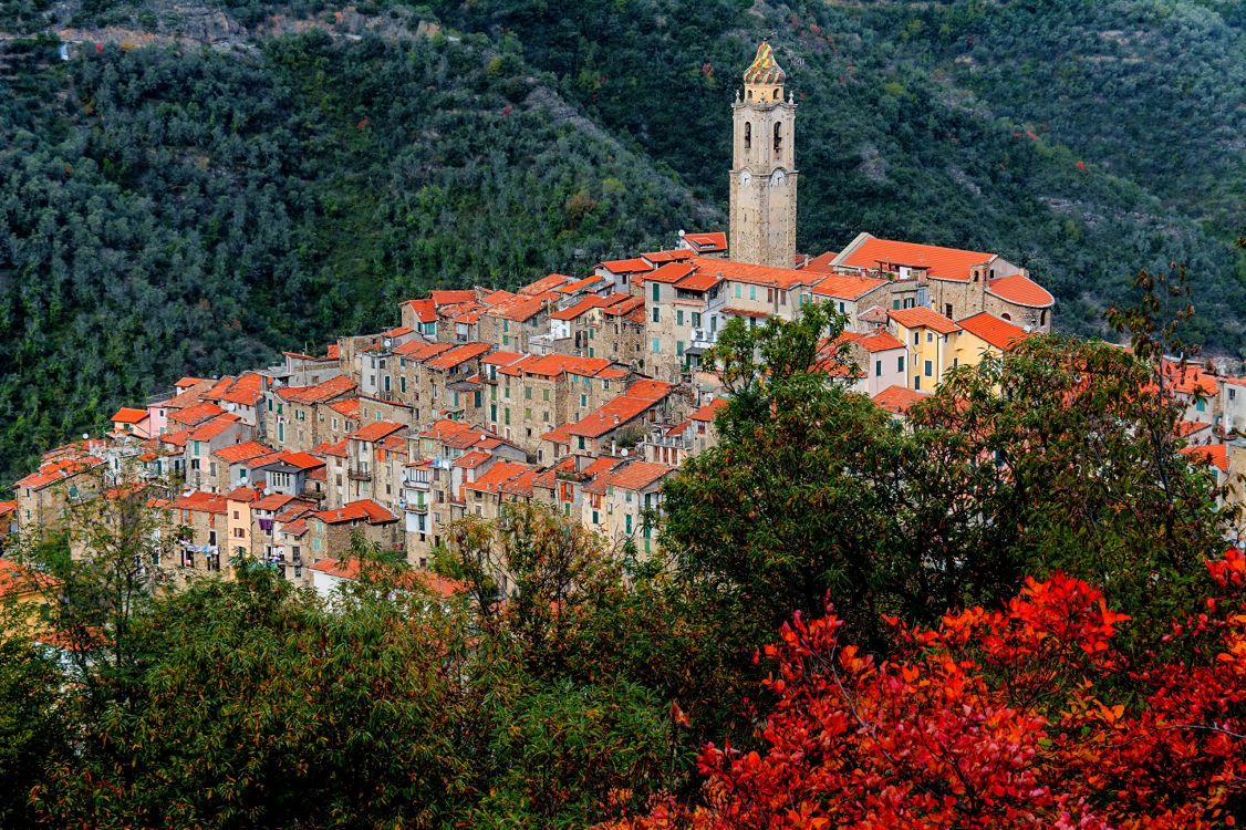 Обои Кастель-Витторио, городок, дерево, растение, деревня в разрешении 2560x1705