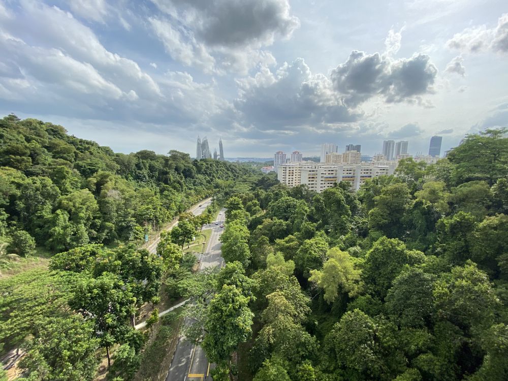 Обои растительность, природа, дневное время, облако, городской район в разрешении 2048x1536