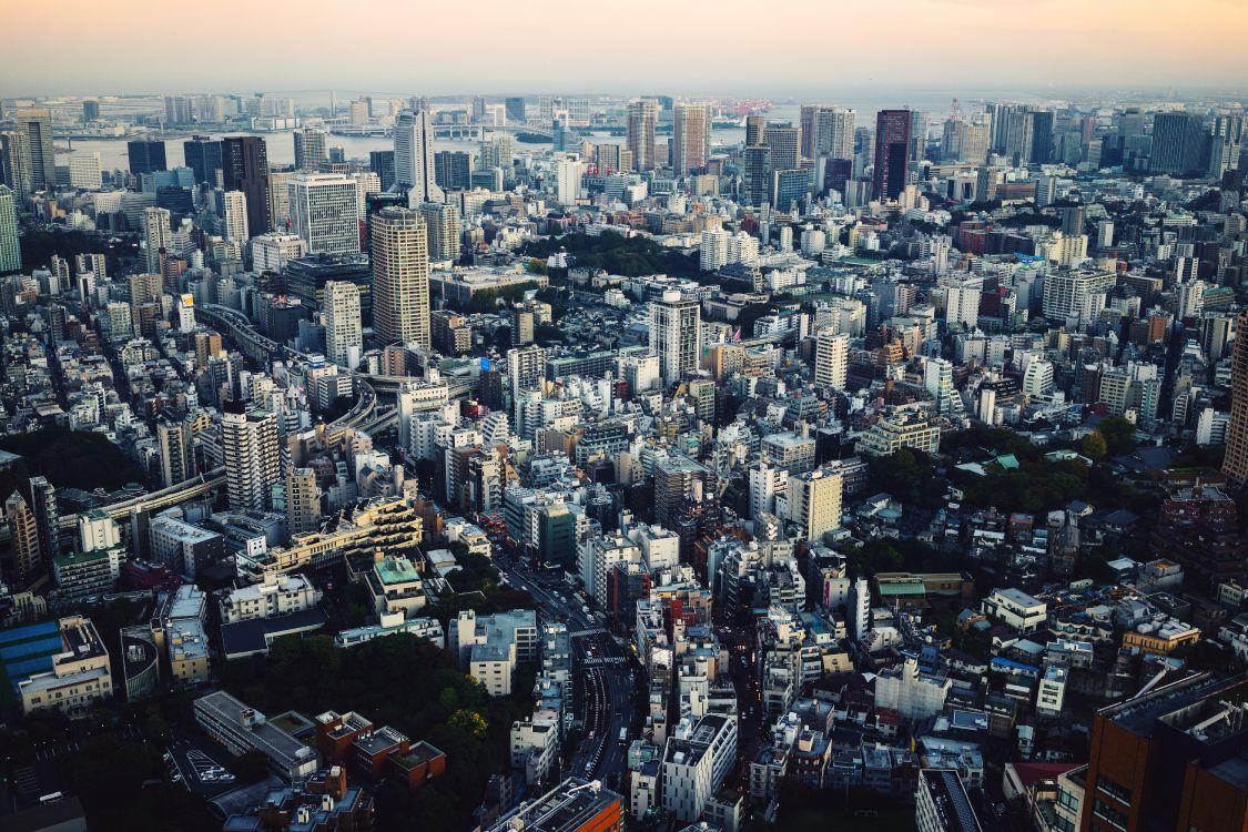 Обои Токио, городской пейзаж, город, метрополия, городской район в разрешении 6000x4000