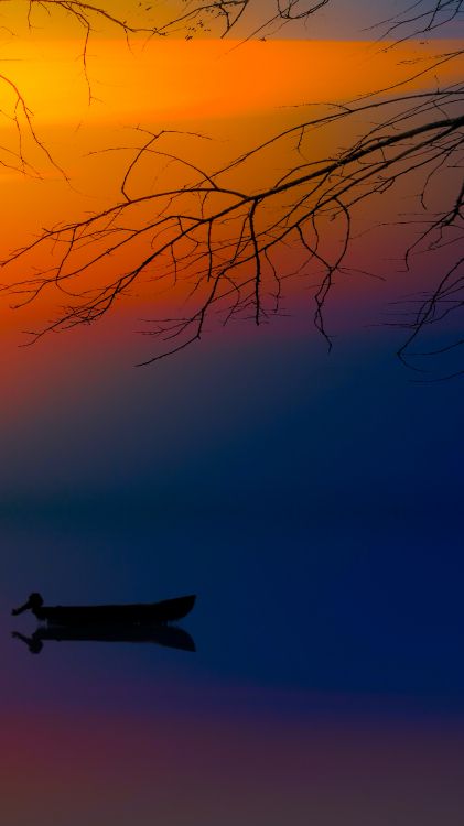 Обои атмосфера, дневное время, послесвечение, сумрак, ветвь в разрешении 1898x3375