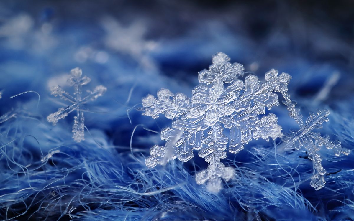 Обои Снежинка, прут, ветвь, замораживание, жидкий в разрешении 3840x2400