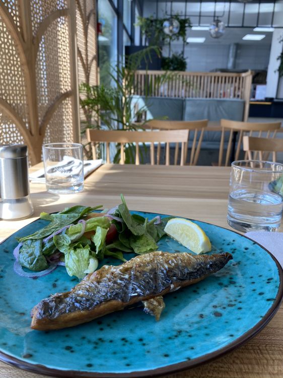 Обои рыба, блюда, поздний завтрак, наука, биология в разрешении 1536x2048