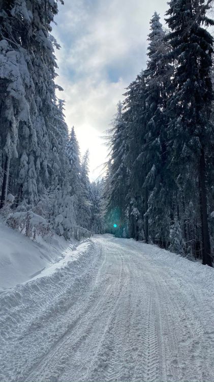 Обои зима, облако, снег, природный ландшафт, склон в разрешении 1152x2048