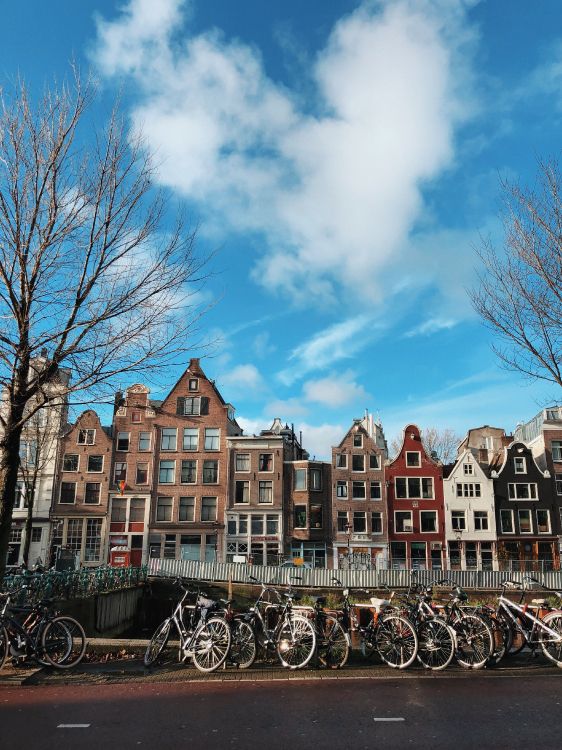 Обои улица, Хаус, городской район, соседство, фасад в разрешении 3024x4032