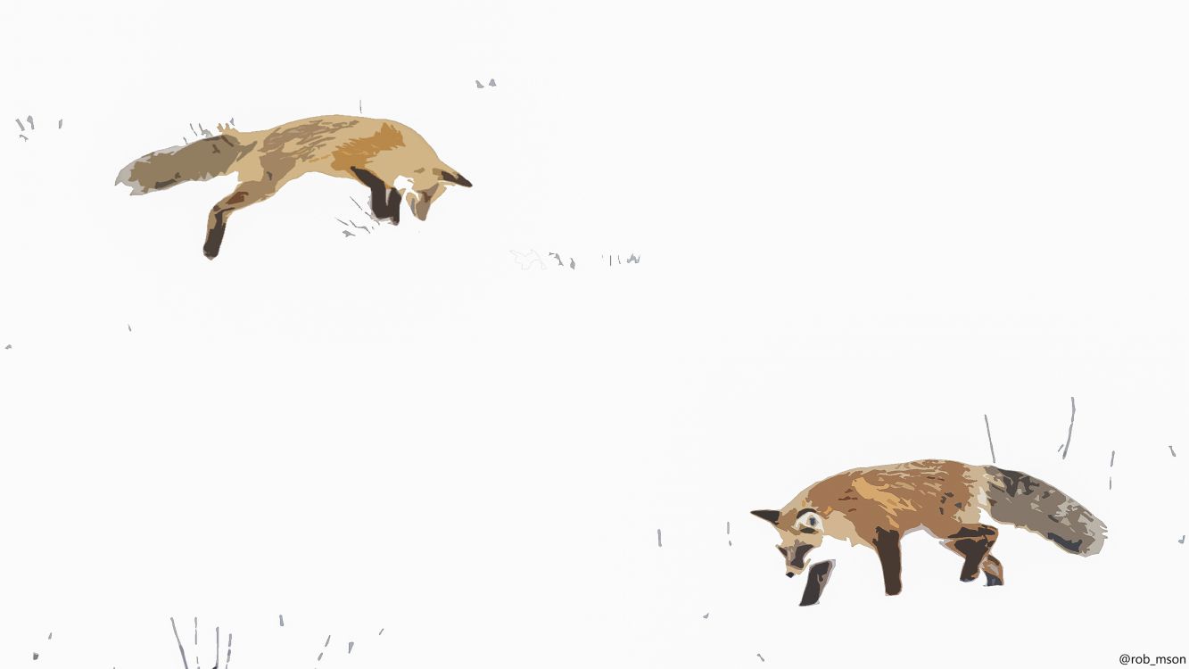 Обои рыжая лисица, procyonidae, экорегион, олененок, наземные животные в разрешении 3840x2160