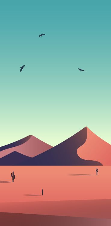 Обои экорегион, птица, склон, эрг, пейзаж в разрешении 2711x5500