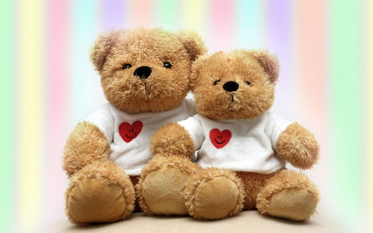 Обои плюшевый мишка, мягкая игрушка, плюш, медведь, подарок в разрешении 1920x1200