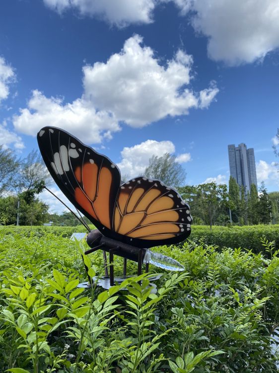 Обои экосистема, бабочкамонарх, лист, растительность, природа в разрешении 1536x2048