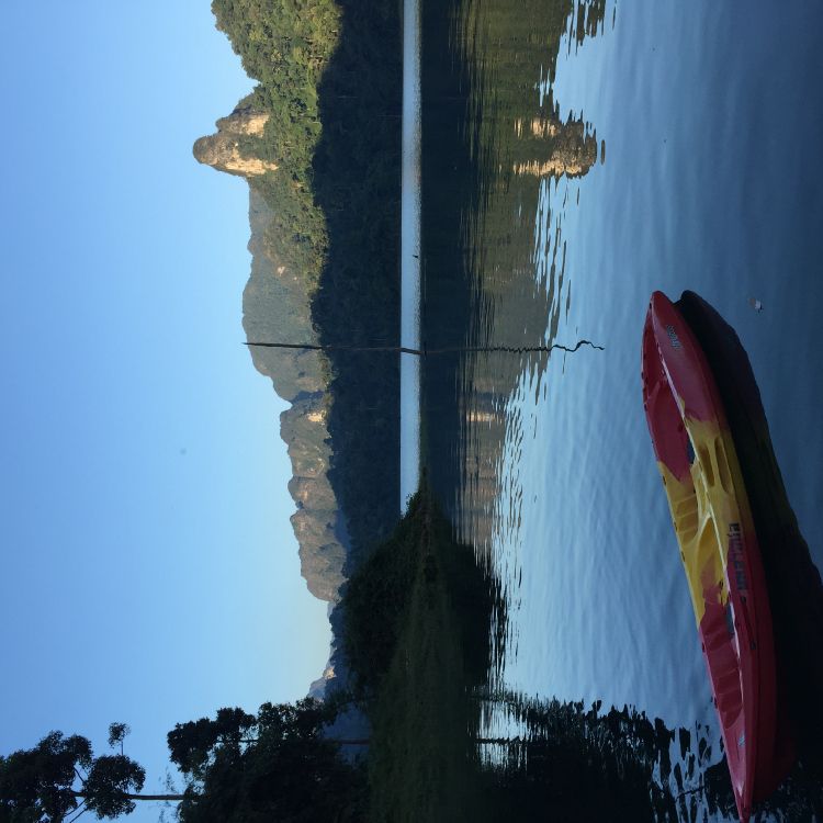 Обои вода, растительность, лазурный, солнечный свет, спокойный в разрешении 2448x2448