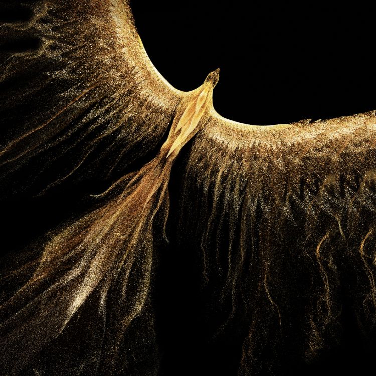 Обои слоны и мамонты, рог, наземные животные, растение, бивень в разрешении 2560x2560