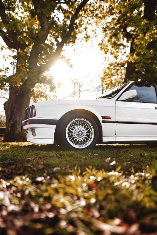 Обои колесо, дерево, обод, Литые диски, спица в разрешении 2732x4096