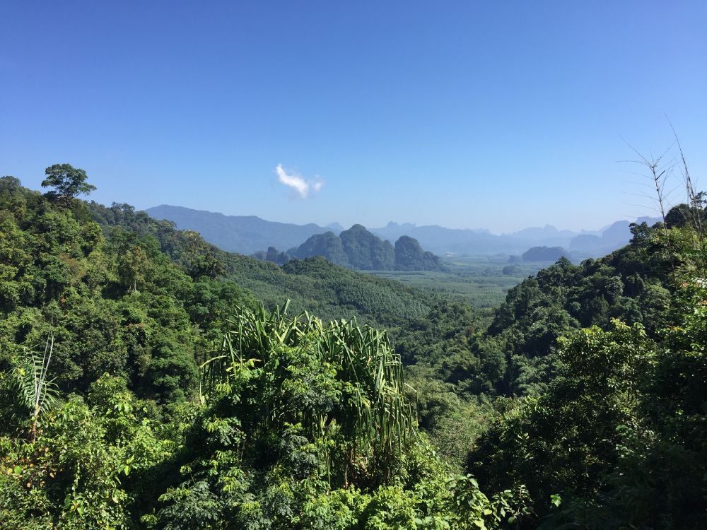 Обои растительность, природа, окружающая среда, горный рельеф, природный ландшафт в разрешении 3264x2448