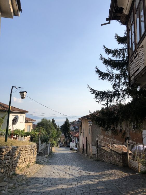 Обои биология, городок, дорога, соседство, инфраструктура в разрешении 1536x2048