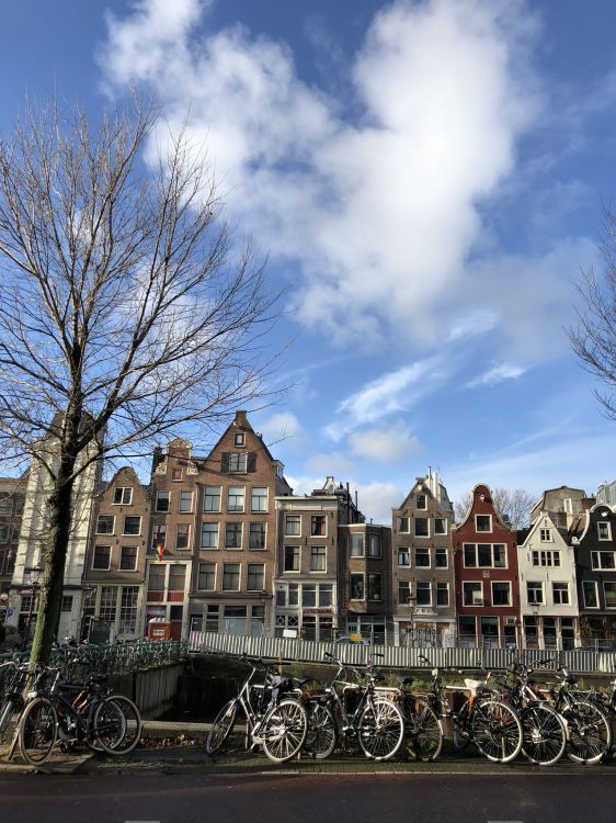 Обои Амстердам, андроид, meizu m6 примечание, колесо, велосипедная шина в разрешении 1536x2048