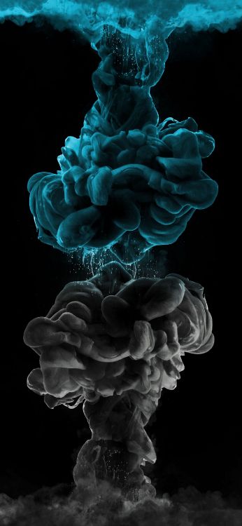 Обои растение, наземное растение, дерево, лепесток, электрик в разрешении 1407x3045